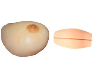 Silicone Gel for Breast Prosthesis